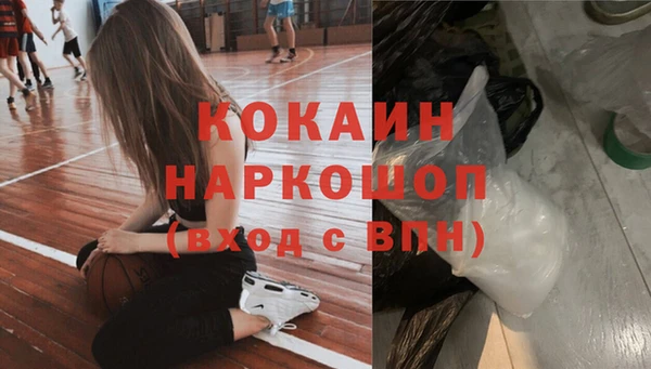 прущие грибы Арсеньев