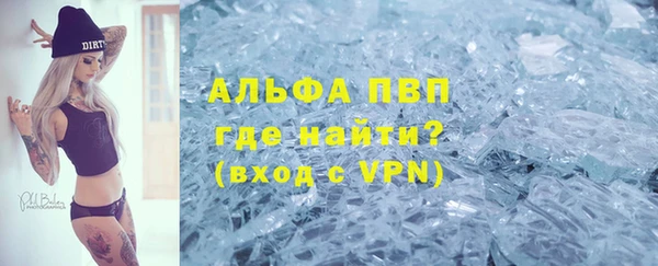 прущие грибы Арсеньев